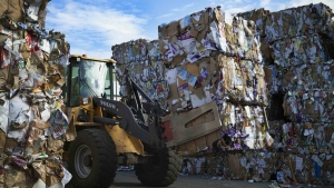 Hartie-Carton