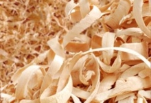 reciclare colectare Salonta Nord Eco Solution